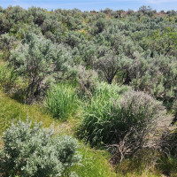 0 285 Meadows (Lots 11, 12 & 13) Drive, Ephrata, WA 98823