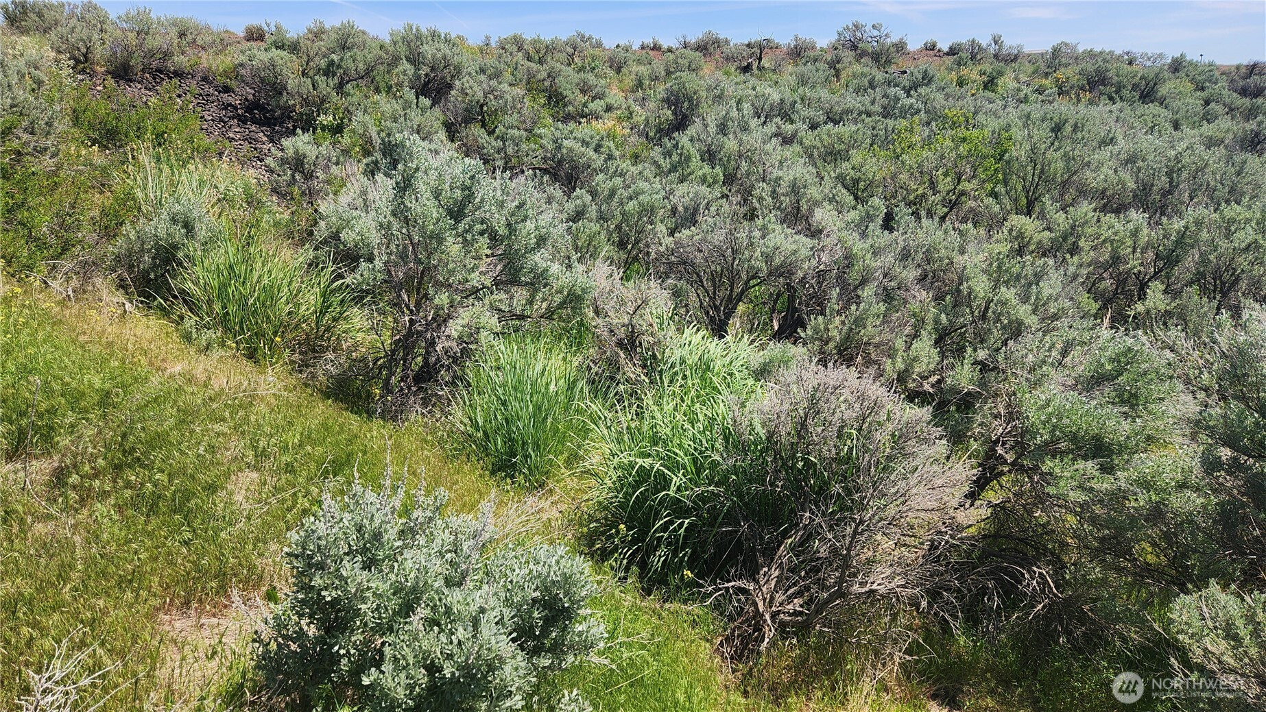 0 285 Meadows (Lots 11, 12 & 13) Drive, Ephrata, WA 98823