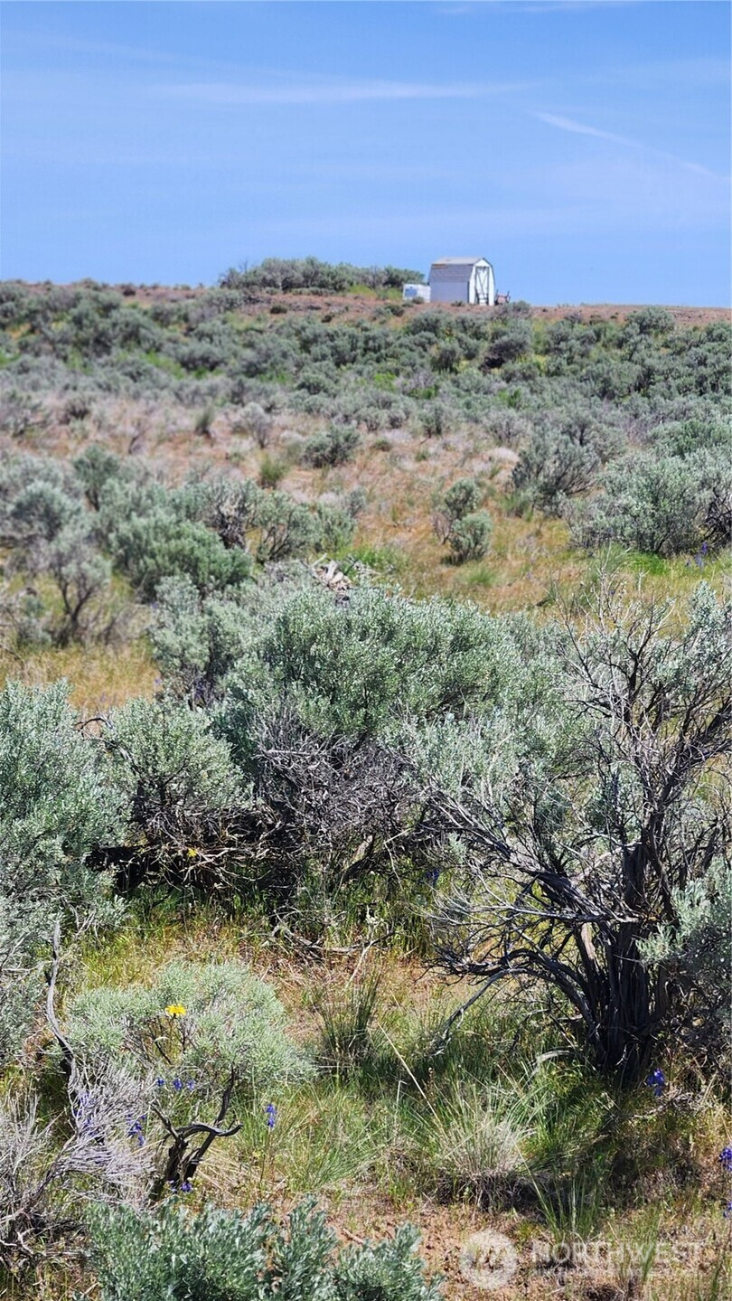 0 285 Meadows (Lots 11, 12 & 13) Drive, Ephrata, WA 98823