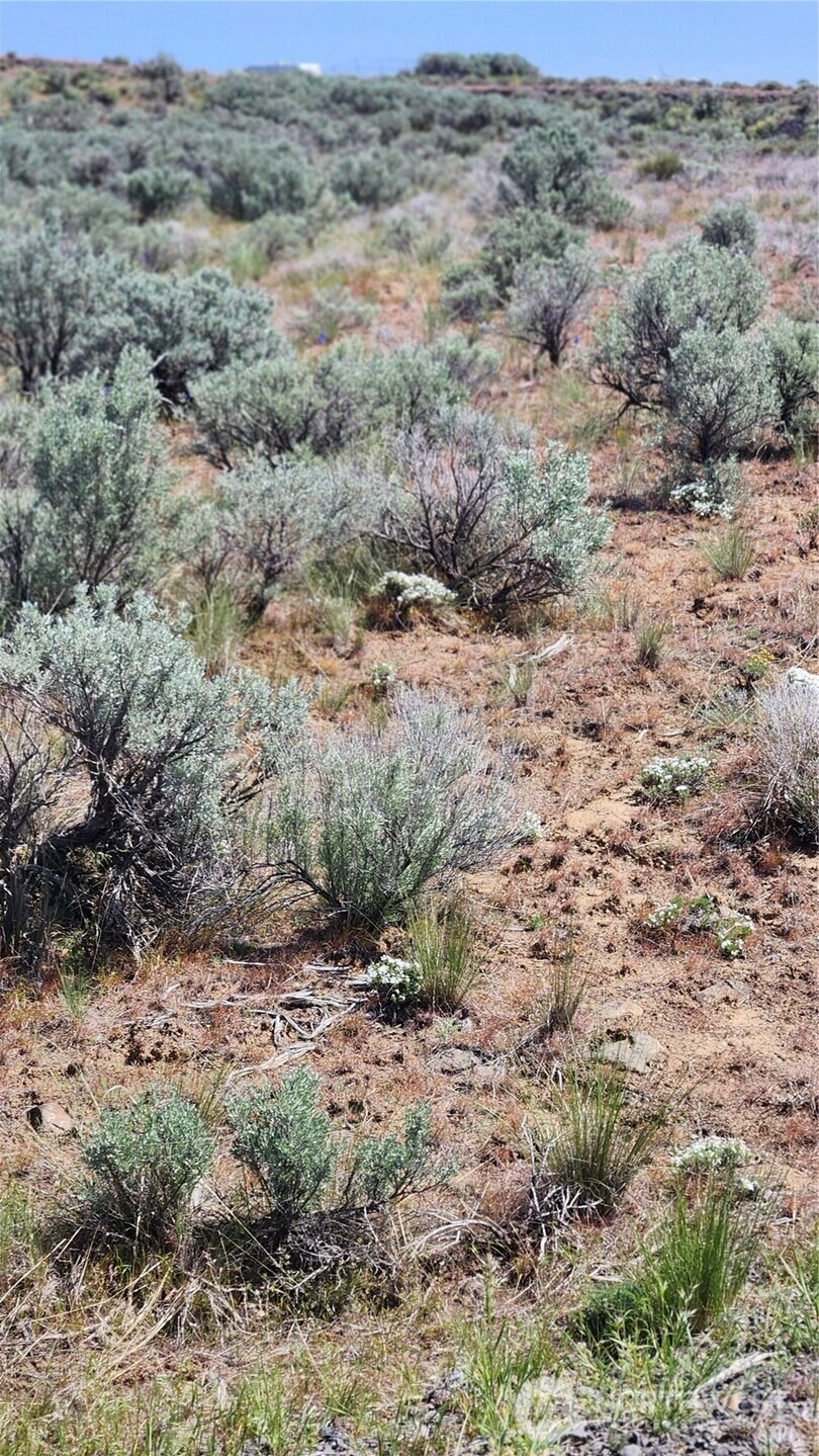 0 285 Meadows (Lots 11, 12 & 13) Drive, Ephrata, WA 98823