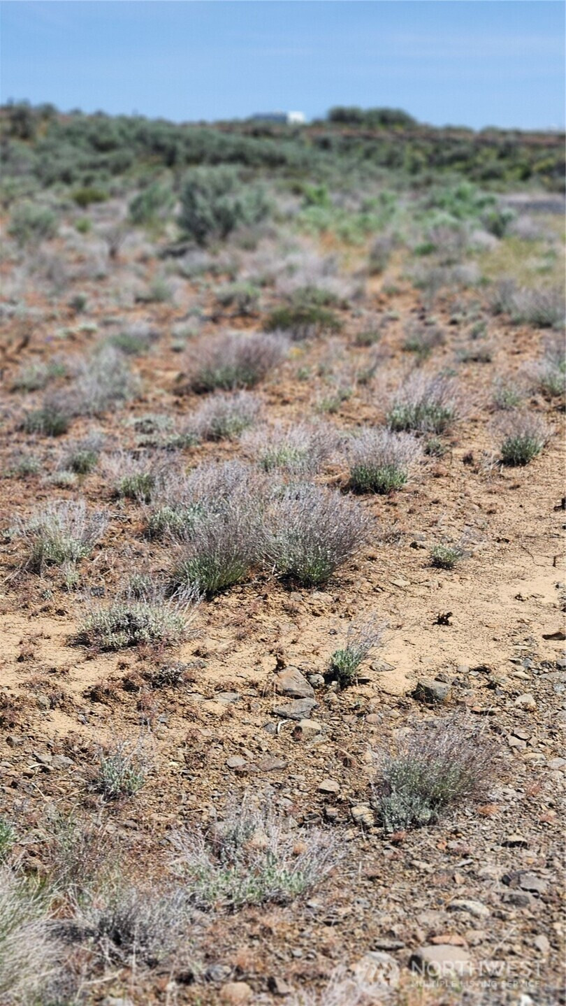 0 285 Meadows (Lots 11, 12 & 13) Drive, Ephrata, WA 98823