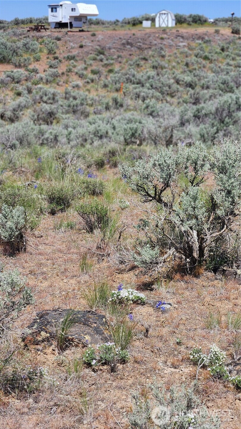 0 285 Meadows (Lots 11, 12 & 13) Drive, Ephrata, WA 98823