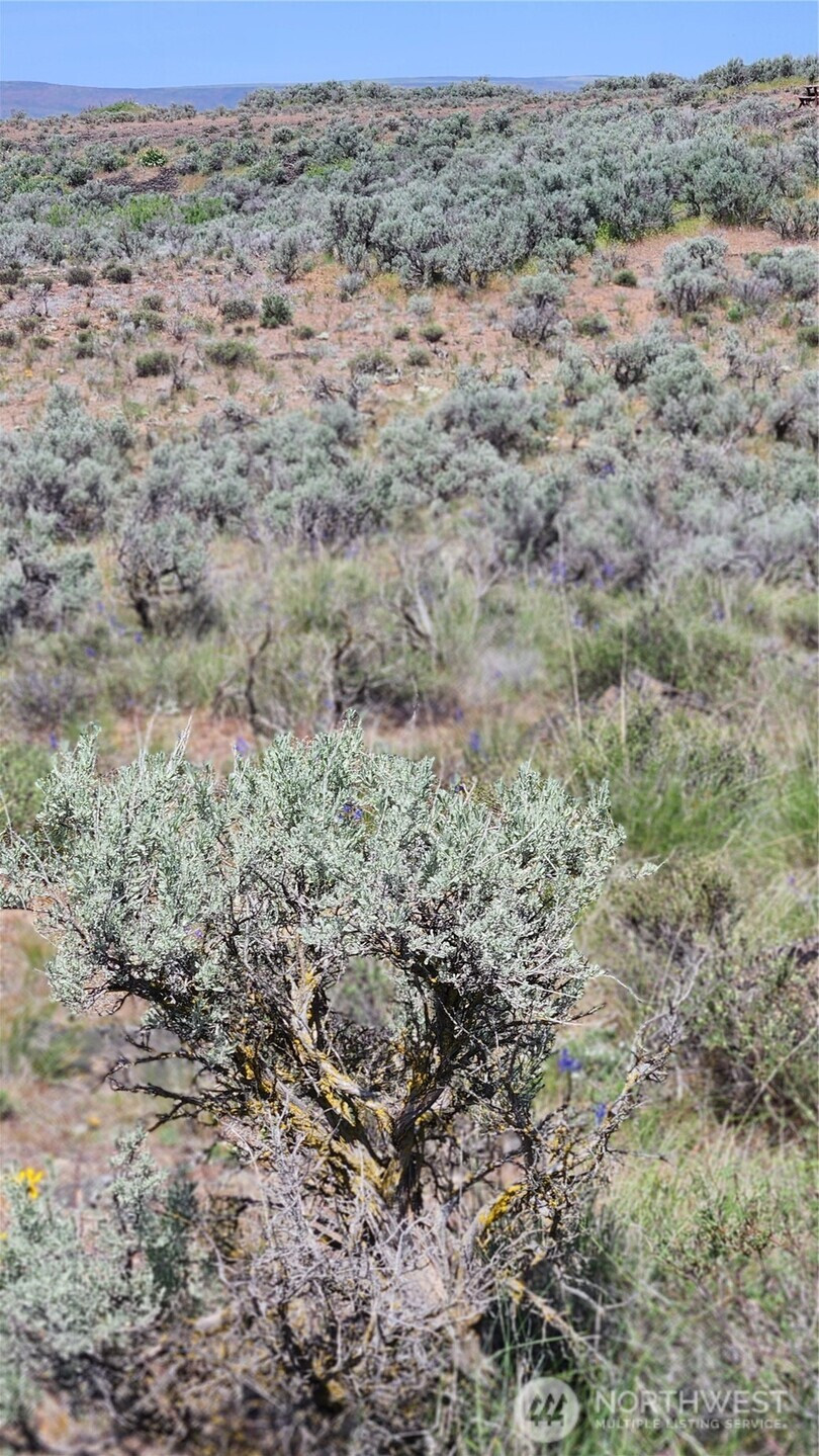 0 285 Meadows (Lots 11, 12 & 13) Drive, Ephrata, WA 98823