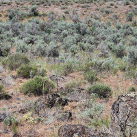 0 285 Meadows (Lots 11, 12 & 13) Drive, Ephrata, WA 98823