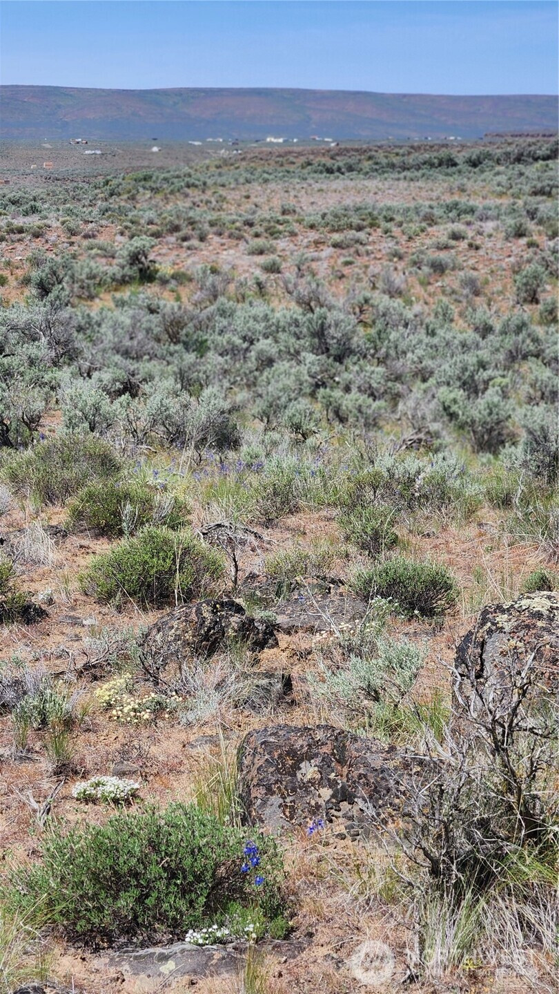 0 285 Meadows (Lots 11, 12 & 13) Drive, Ephrata, WA 98823