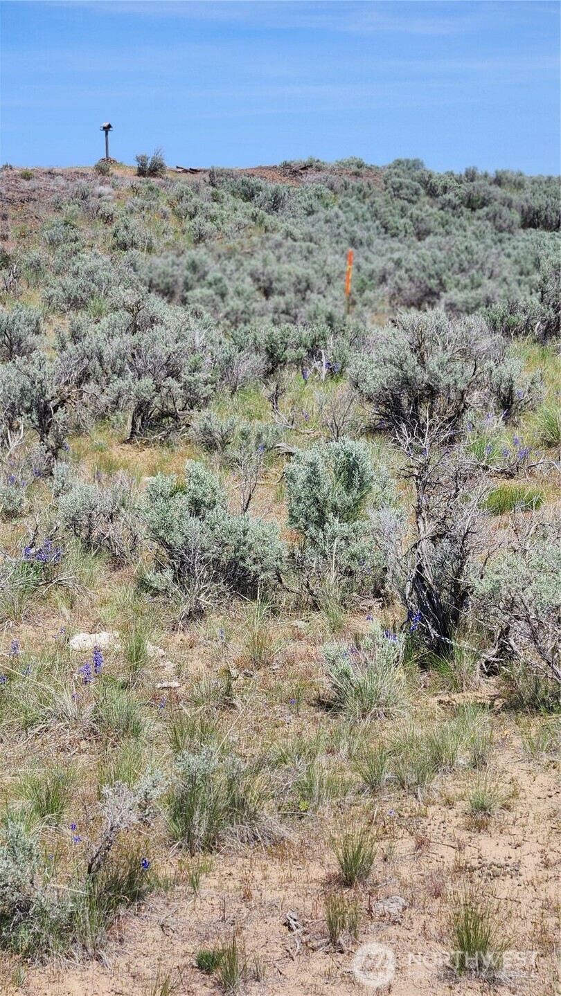 0 285 Meadows (Lots 11, 12 & 13) Drive, Ephrata, WA 98823