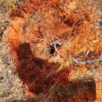 0 285 Meadows (Lots 11, 12 & 13) Drive, Ephrata, WA 98823