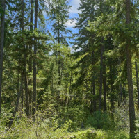 9 Salmon La Sac Highway, Ronald, WA 98941