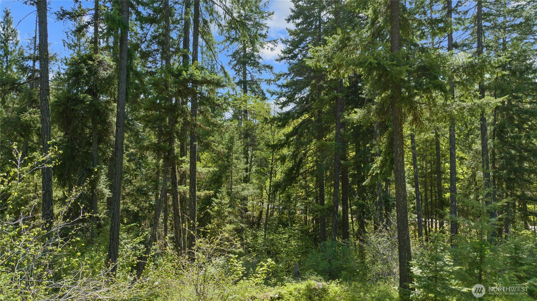 9 Salmon La Sac Highway, Ronald, WA 98941