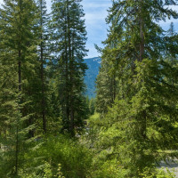 9 Salmon La Sac Highway, Ronald, WA 98941