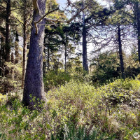 5 SR 109, Pacific Beach, WA 98571