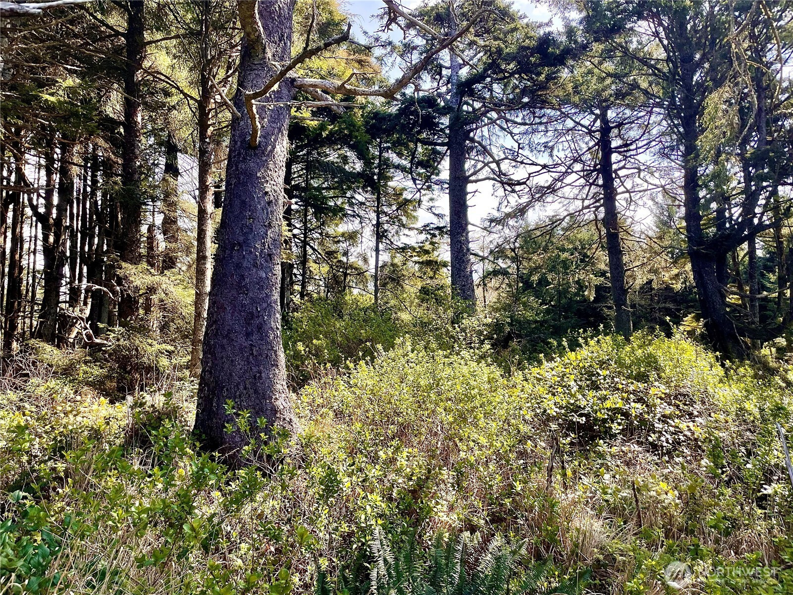 5 SR 109, Pacific Beach, WA 98571