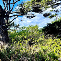 5 SR 109, Pacific Beach, WA 98571