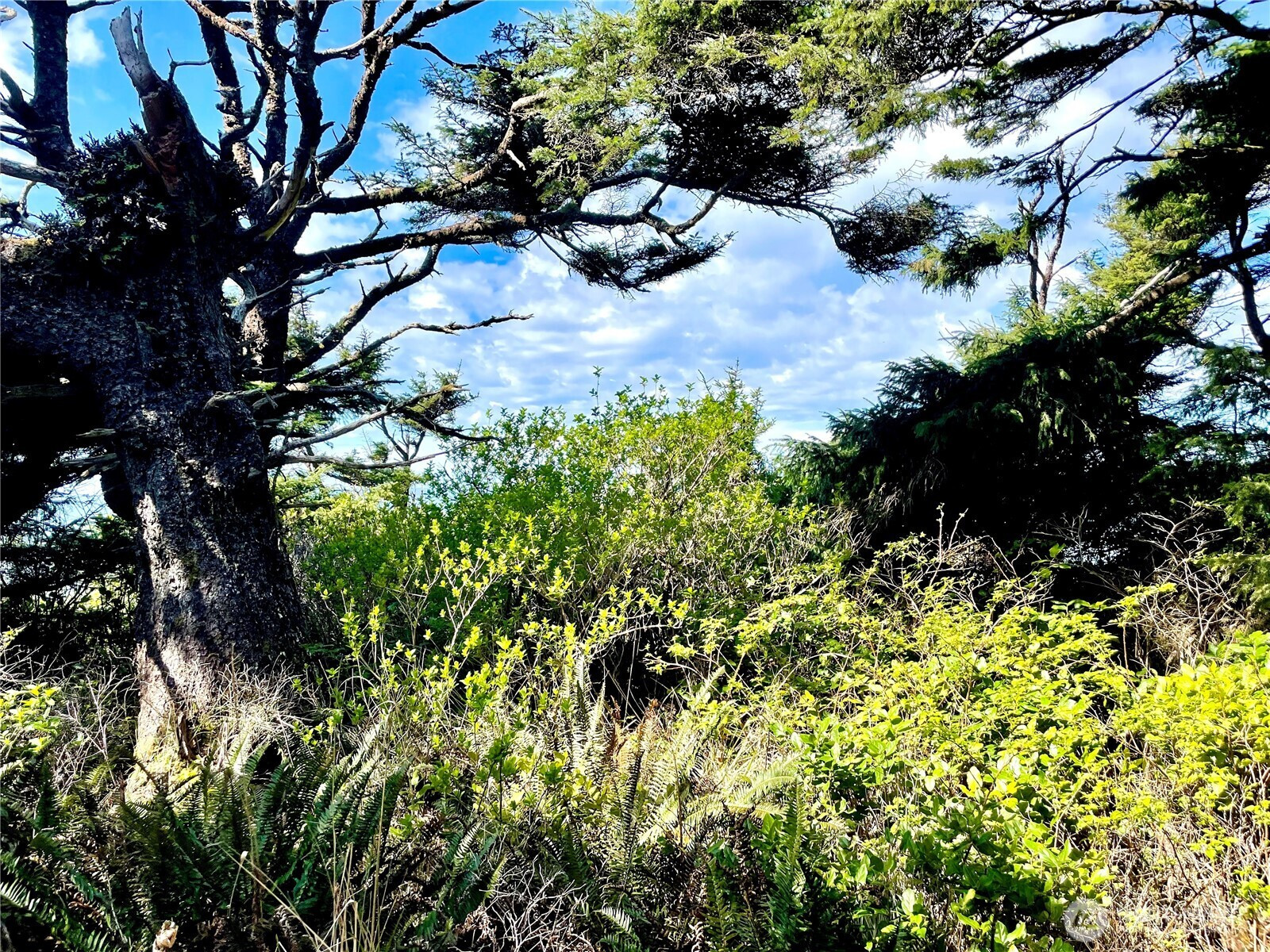 5 SR 109, Pacific Beach, WA 98571