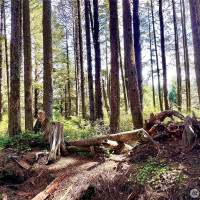 5 SR 109, Pacific Beach, WA 98571