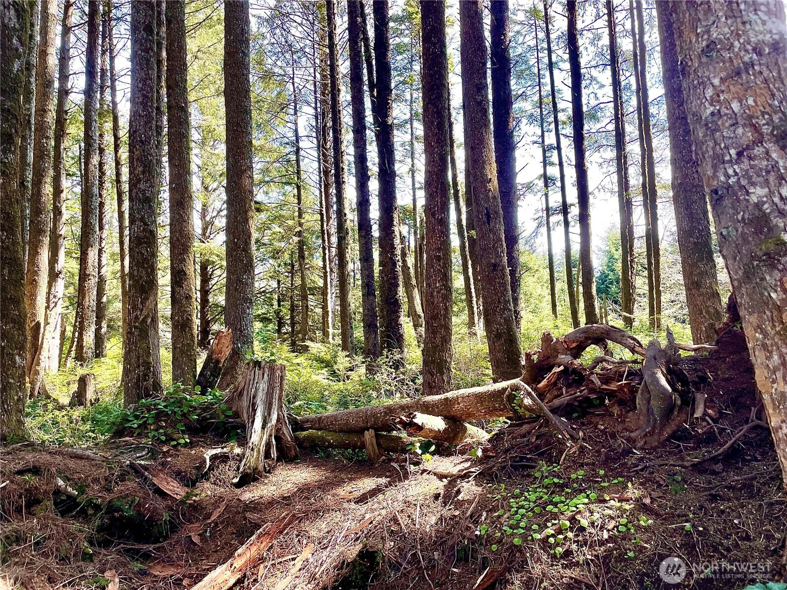 5 SR 109, Pacific Beach, WA 98571