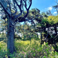 5 SR 109, Pacific Beach, WA 98571