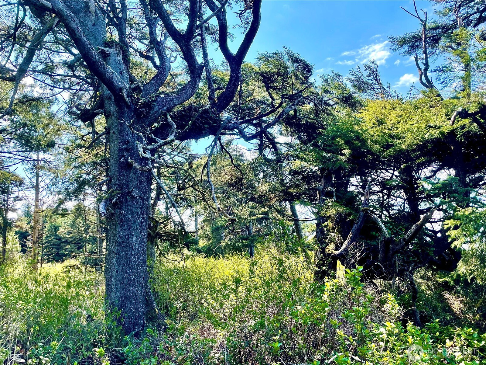 5 SR 109, Pacific Beach, WA 98571