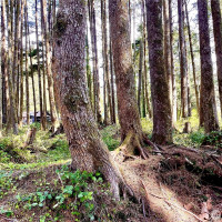 5 SR 109, Pacific Beach, WA 98571