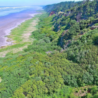 5 SR 109, Pacific Beach, WA 98571