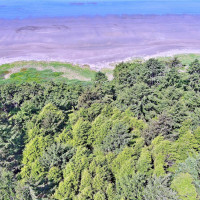 5 SR 109, Pacific Beach, WA 98571