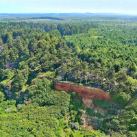 5 SR 109, Pacific Beach, WA 98571