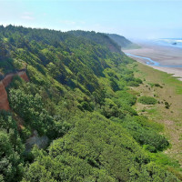 5 SR 109, Pacific Beach, WA 98571