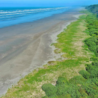 5 SR 109, Pacific Beach, WA 98571