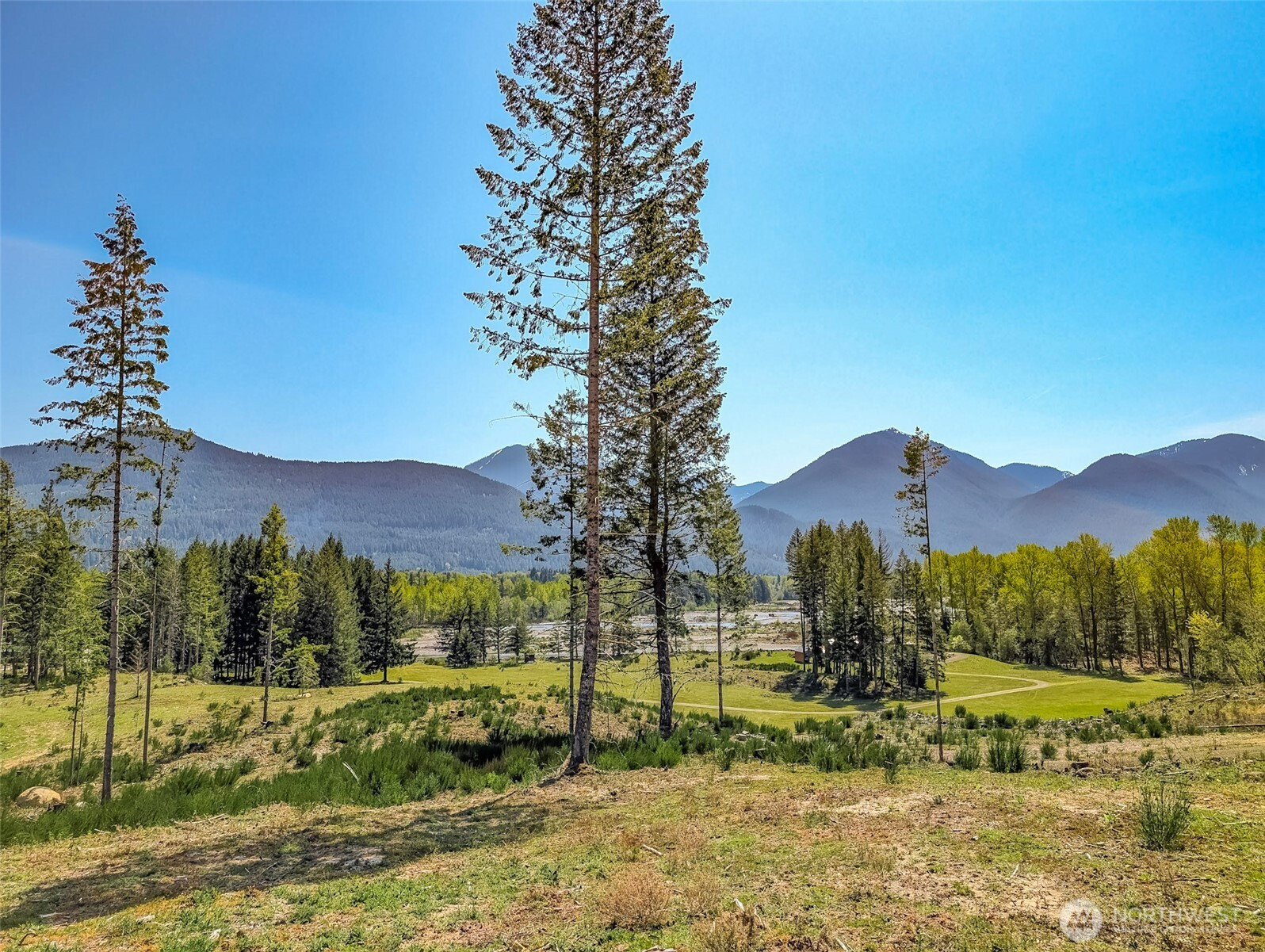 0 Craig Road, Packwood, WA 98361