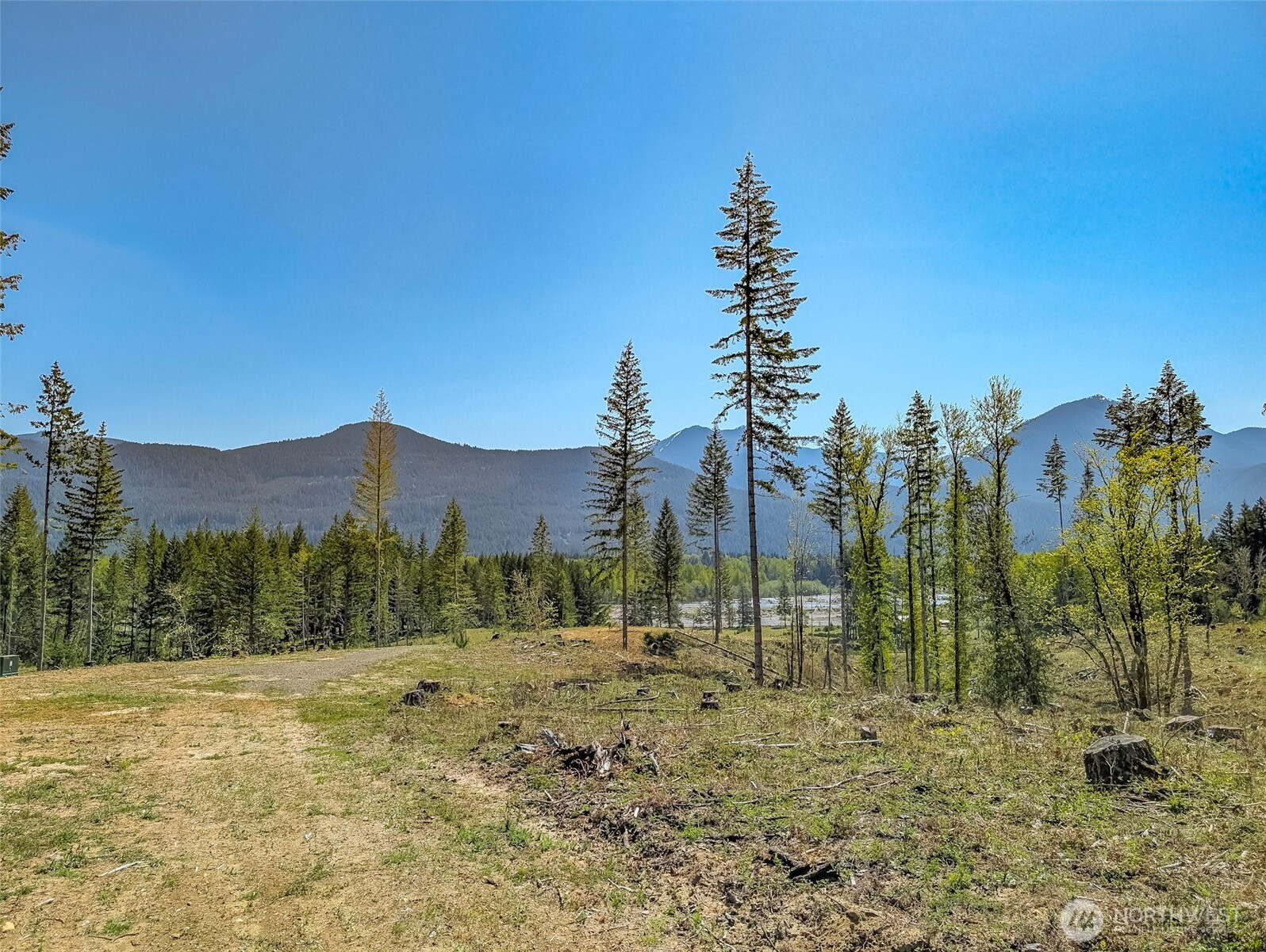 0 Craig Road, Packwood, WA 98361