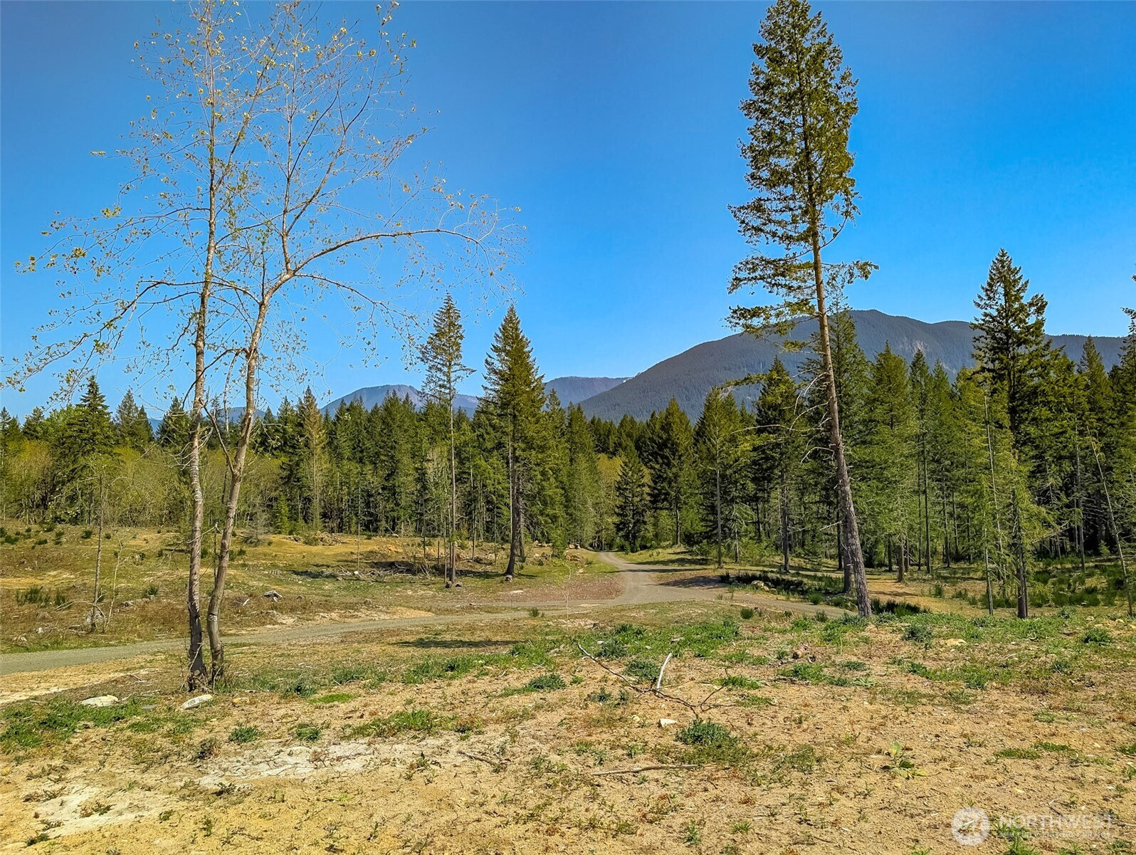 0 Craig Road, Packwood, WA 98361
