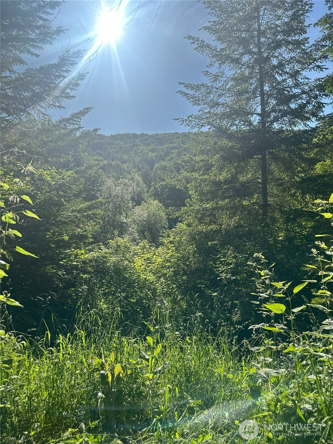 11111 Elkhorn Lane, Quilcene, WA 98376