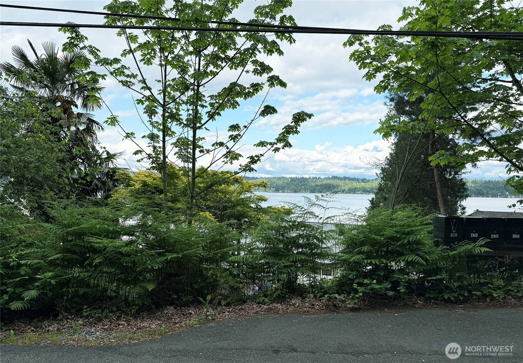 445 W Lake Sammamish Pkwy SE, Bellevue, WA 98008