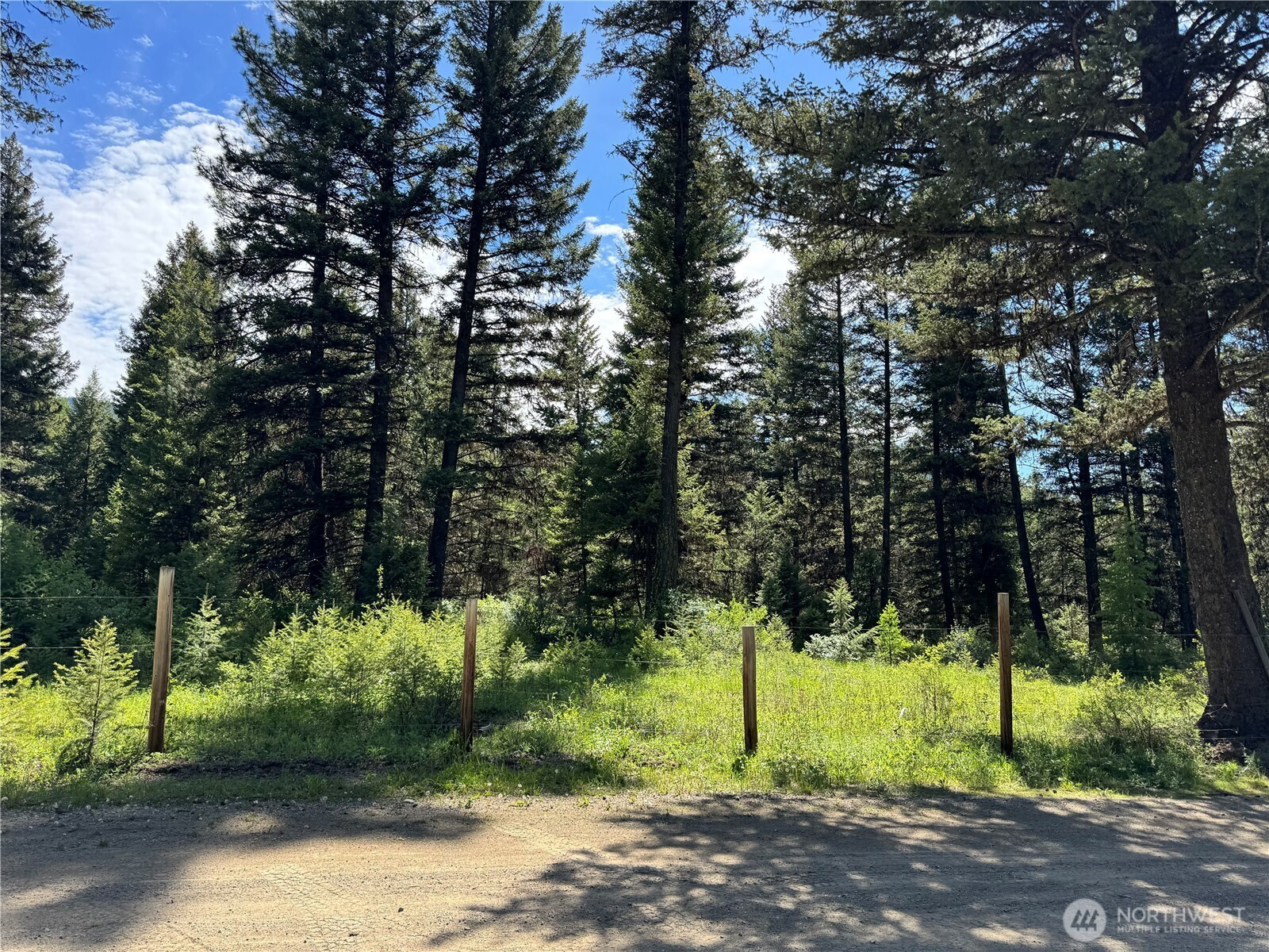 1 XXX Hawkeye Lane, Republic, WA 99166