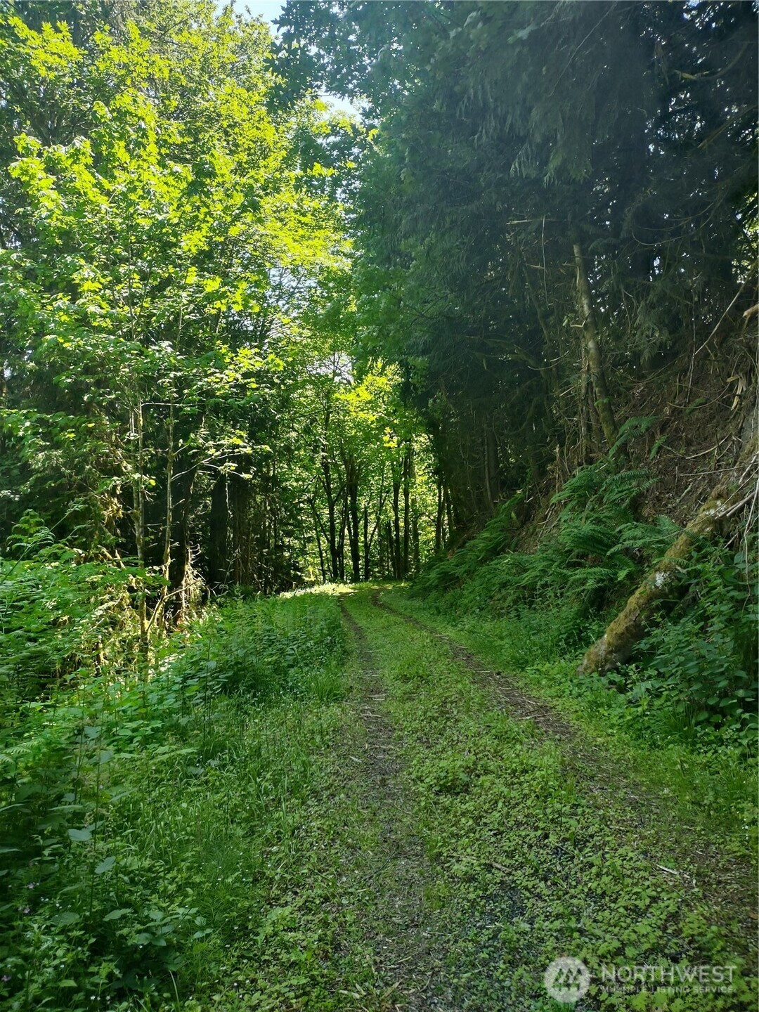 0 Glass Road, Port Angeles, WA 97207