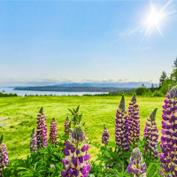 40 Garten Road, Port Ludlow, WA 98365