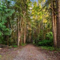 40 Garten Road, Port Ludlow, WA 98365