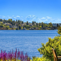 7964 E Mercer Way, Mercer Island, WA 98040