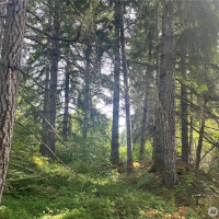 2230 W Beverly Boulevard, Shelton, WA 98584