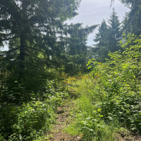 2230 W Beverly Boulevard, Shelton, WA 98584