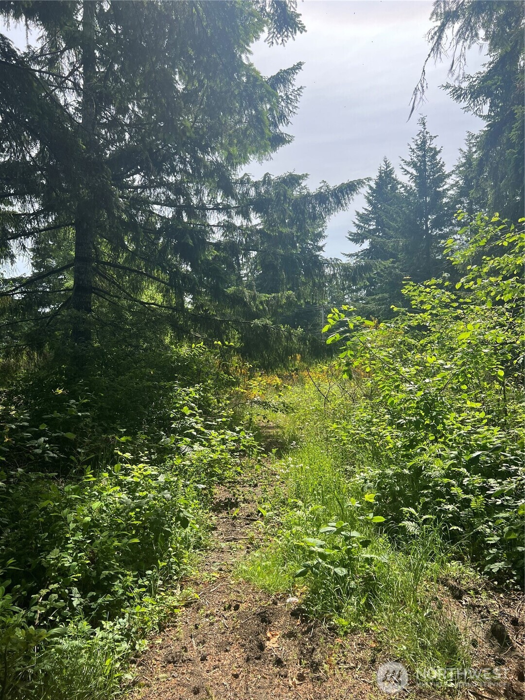 2230 W Beverly Boulevard, Shelton, WA 98584