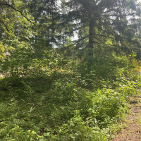 2230 W Beverly Boulevard, Shelton, WA 98584