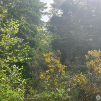 2230 W Beverly Boulevard, Shelton, WA 98584