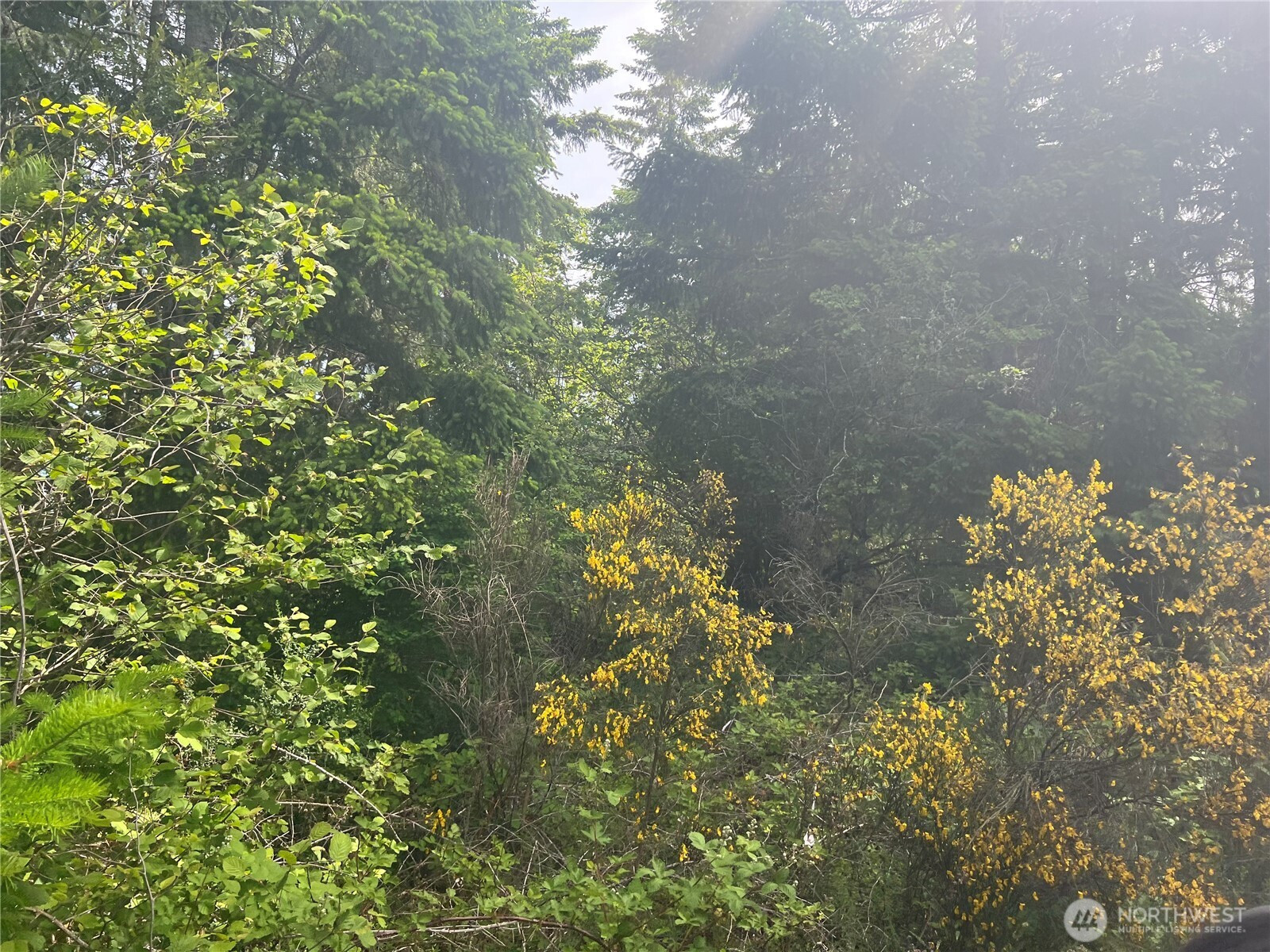 2230 W Beverly Boulevard, Shelton, WA 98584