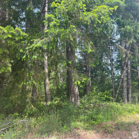 2230 W Beverly Boulevard, Shelton, WA 98584