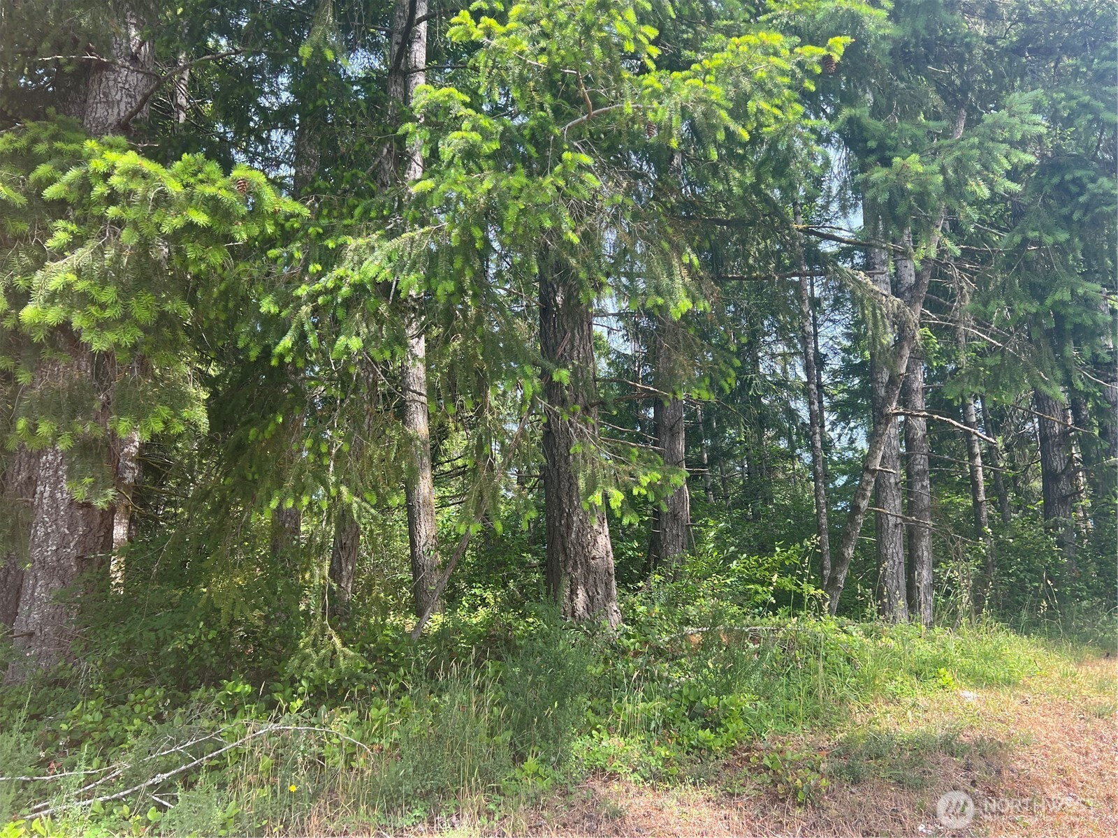 2230 W Beverly Boulevard, Shelton, WA 98584