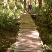 33225 Site 103 Douglas Avenue SE, Black Diamond, WA 98010