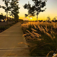 33225 Site 103 Douglas Avenue SE, Black Diamond, WA 98010