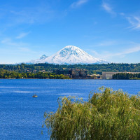 8260 Avalon Drive, Mercer Island, WA 98040