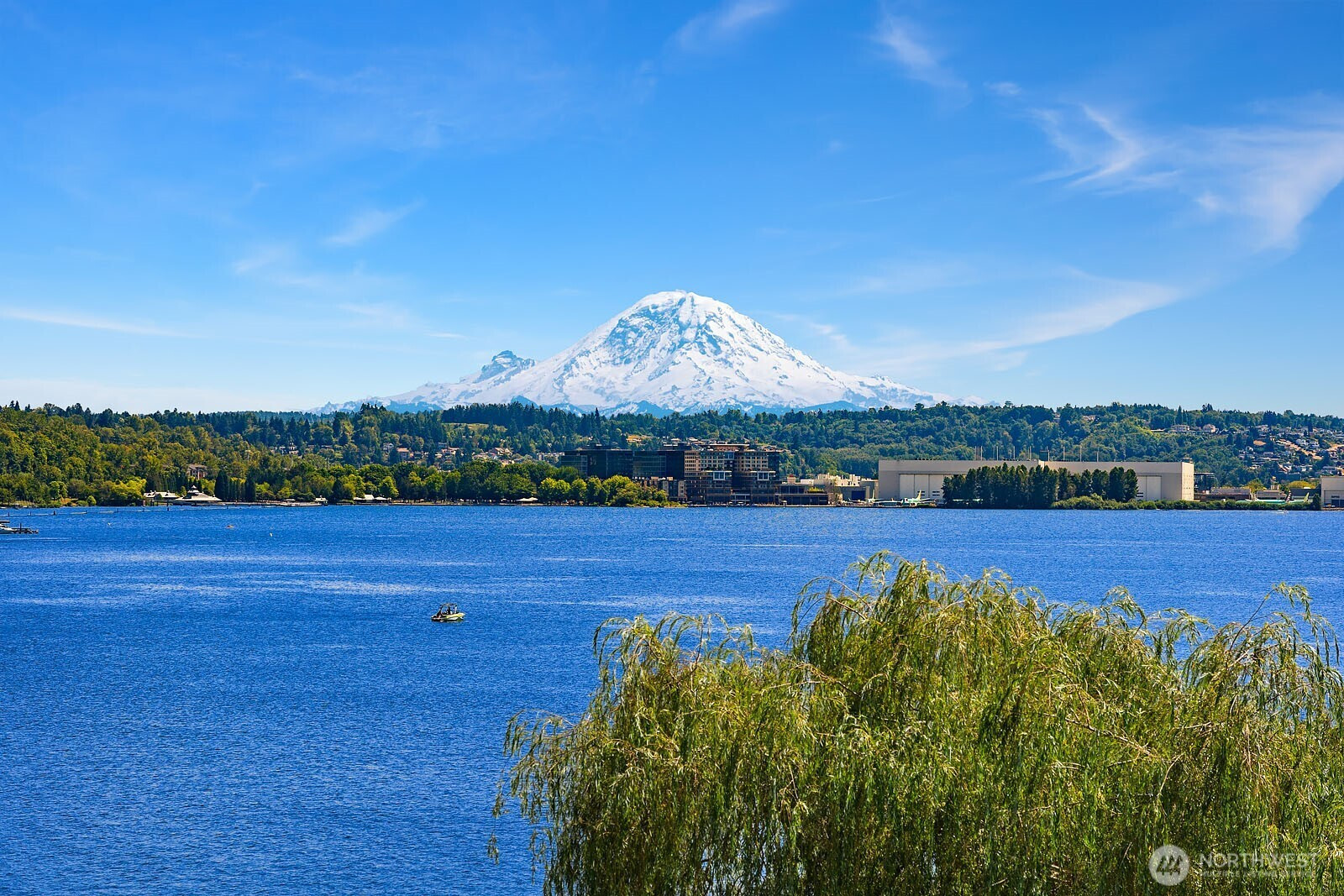 8260 Avalon Drive, Mercer Island, WA 98040